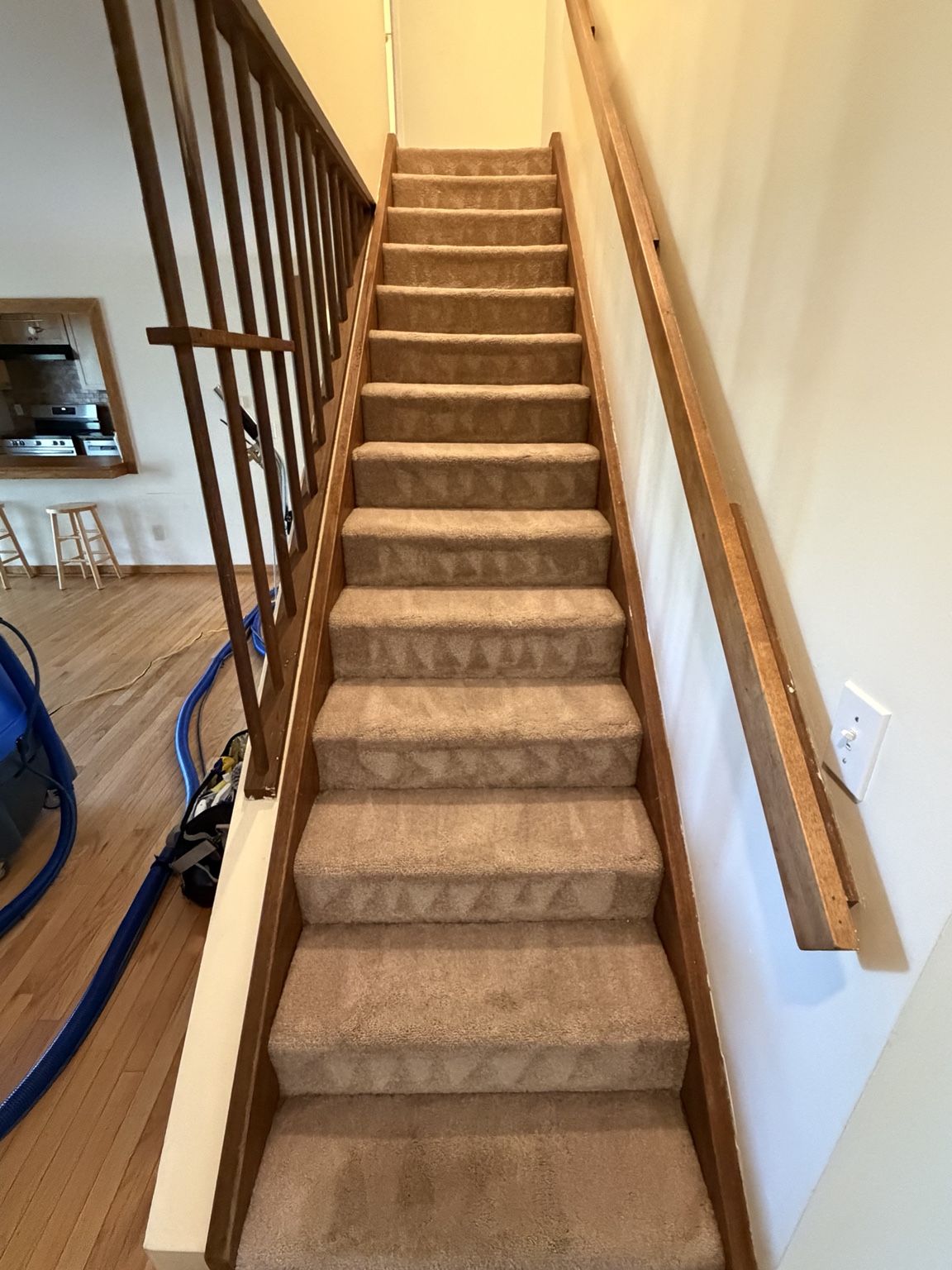 Freshly cleaned brown carpeted staircase with visible extraction lines