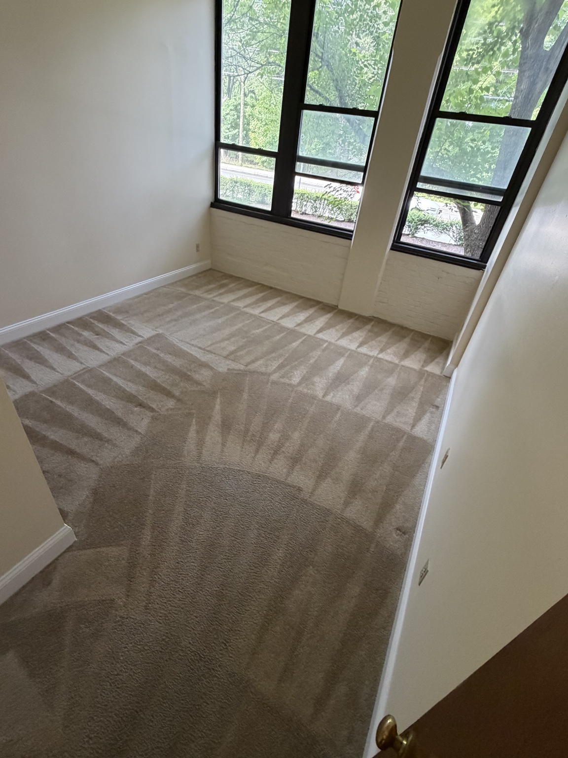 Freshly cleaned beige carpet in an empty bedroom with tall windows