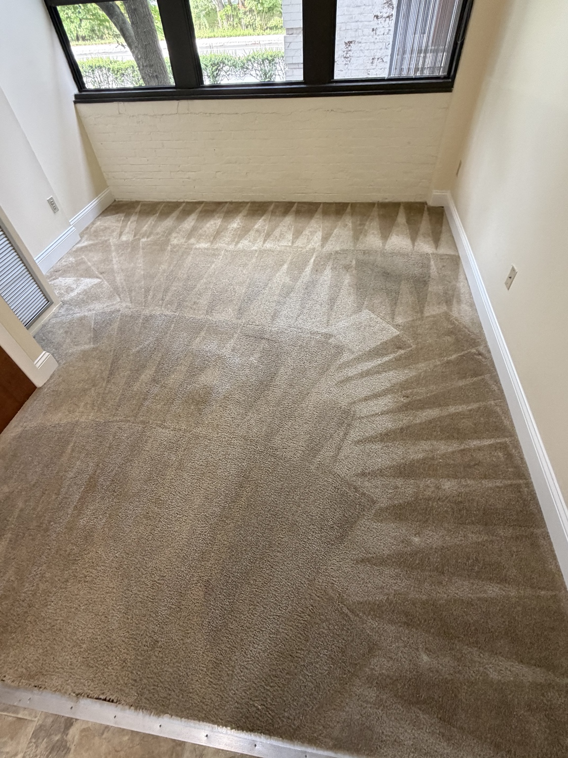Freshly cleaned beige carpet in an unfurnished residential room